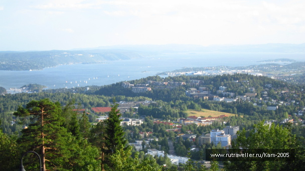 photo 981261