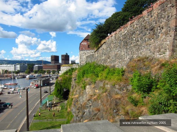 photo 981295