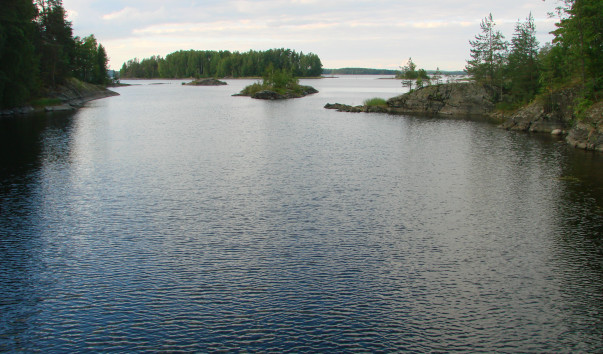 DSC00111