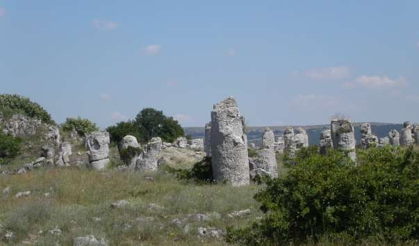 PICT0072