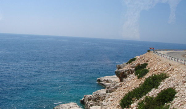 DSC03705