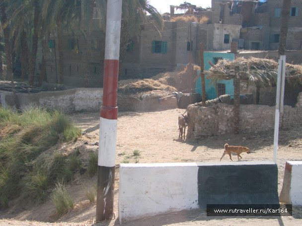 photo 105739