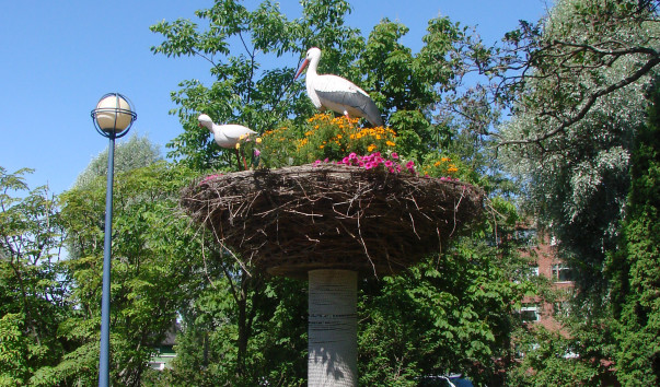 DSC00197