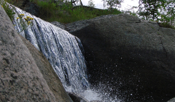 DSC00035