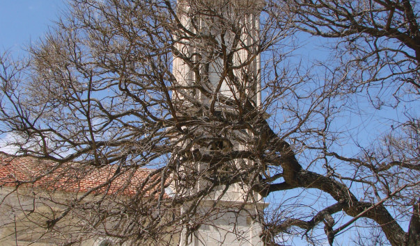 DSC00042
