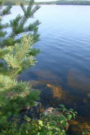 photo 133745
