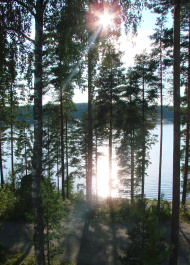 photo 133752