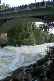 photo 133753