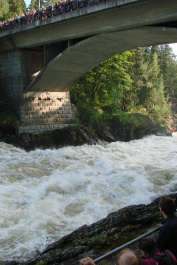 photo 133757