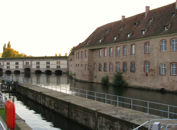 photo 266690