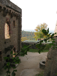 photo 200695