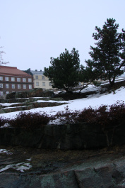 photo 223838
