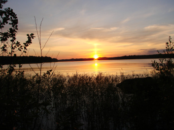 photo 422220