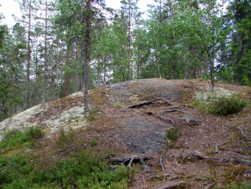 photo 422319