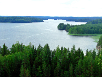 photo 422320