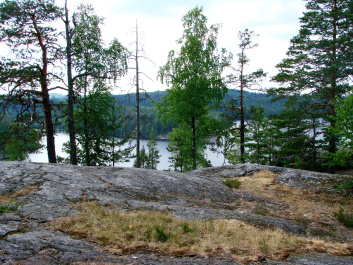 photo 422323