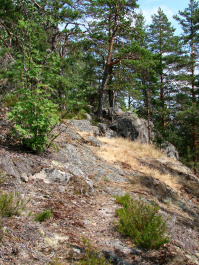photo 422324