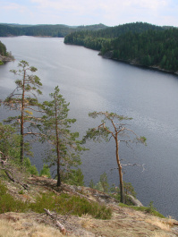 photo 422325
