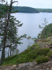 photo 422329