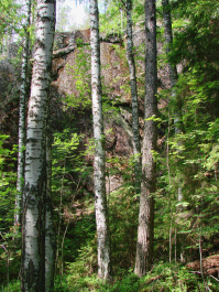 photo 422332