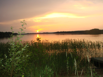 photo 422963