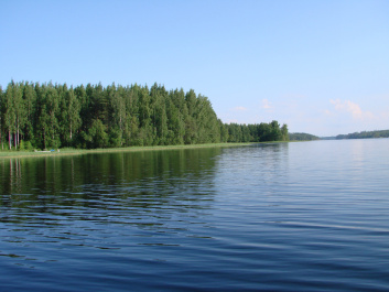 photo 422965