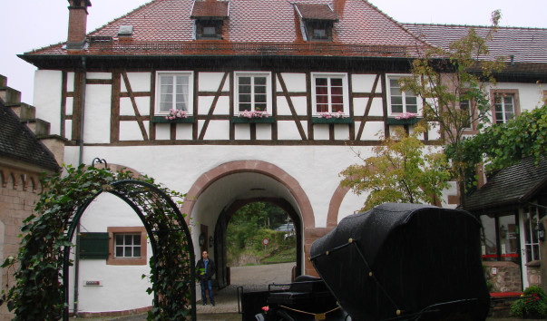 DSC00631