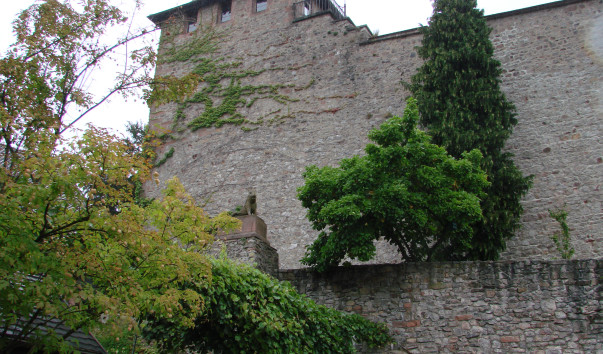 DSC00625