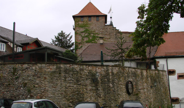 DSC00613