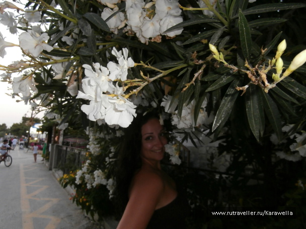 photo 137728