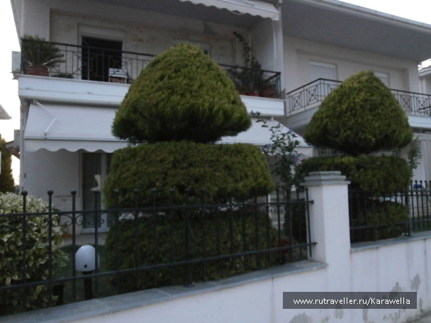 photo 137745