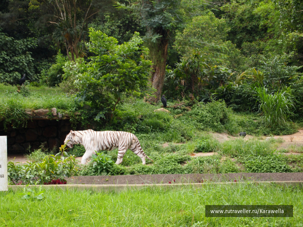 photo 685989