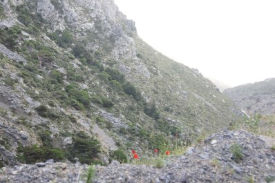 photo 1091776