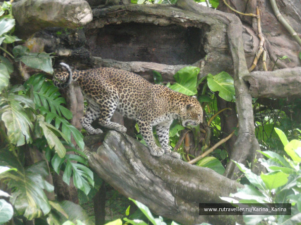 photo 168232