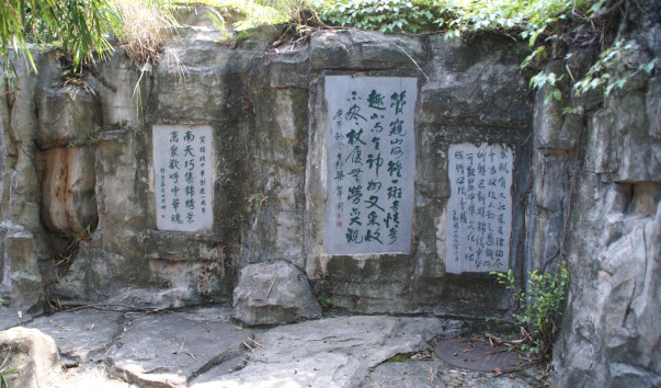 DSC03703