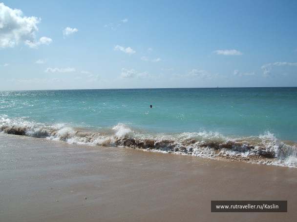 photo 1292811