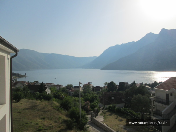 photo 1293565
