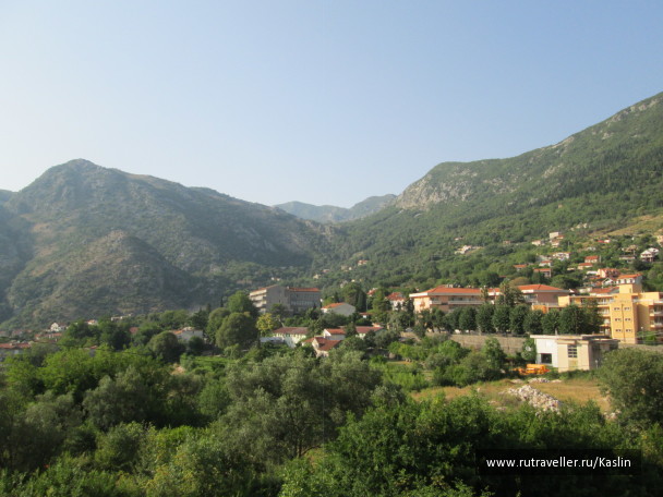 photo 1293568