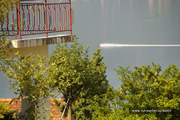photo 1293572
