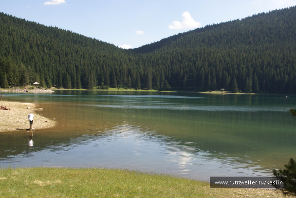 photo 1294231