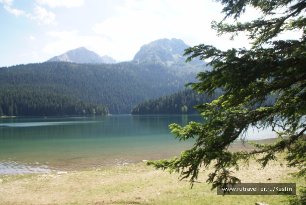 photo 1294232