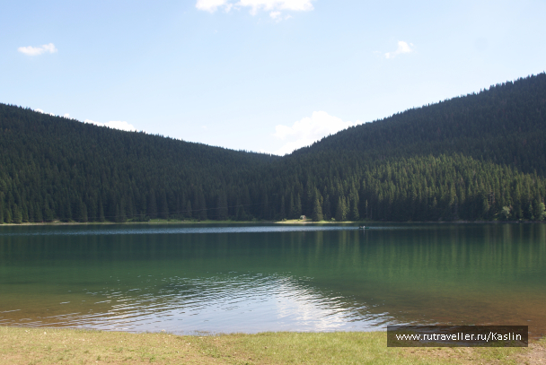 photo 1294237