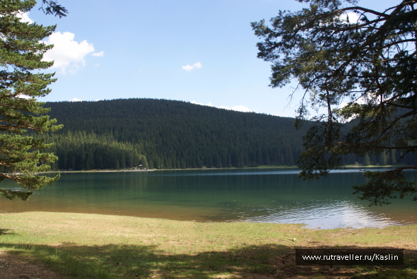 photo 1294238