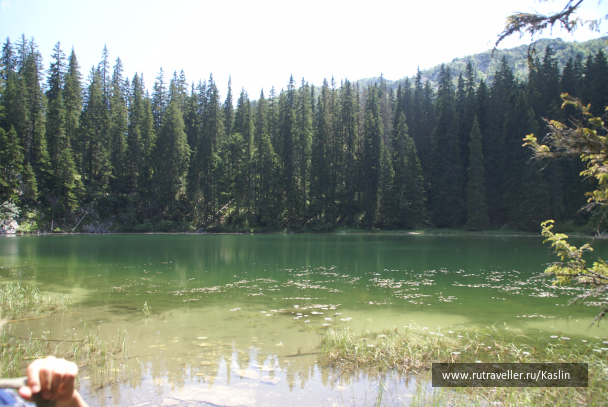 photo 1294246