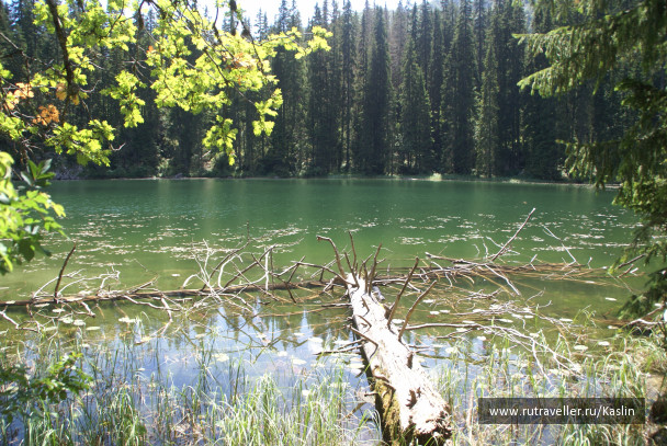 photo 1294248