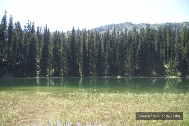 photo 1294249