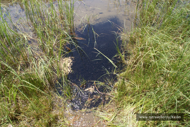 photo 1294250