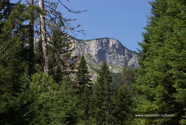 photo 1294251