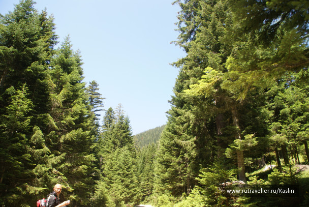 photo 1294252