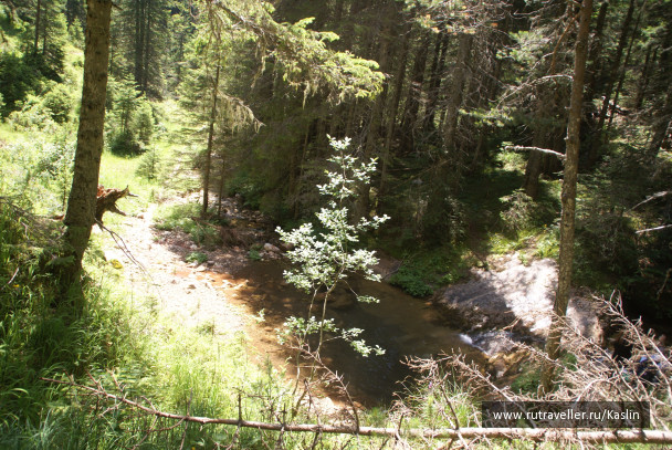 photo 1294254